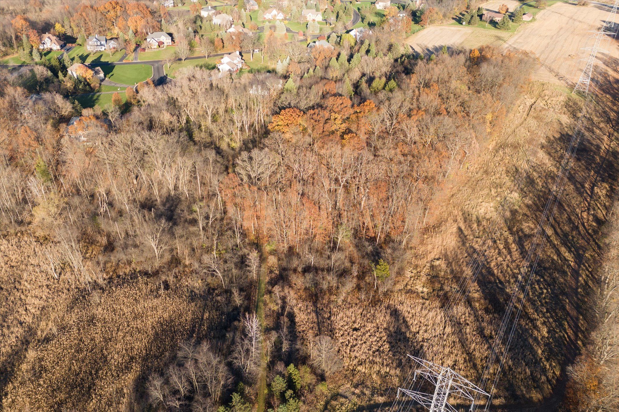 7737 BRASS CREEK