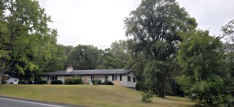 A home in Colfax Twp