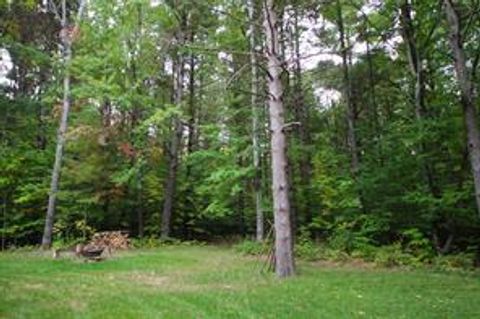 A home in Grant Twp