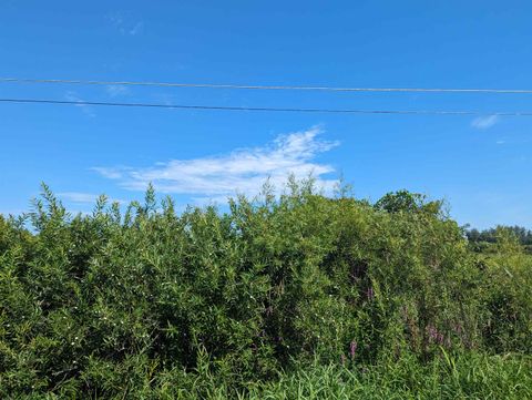 0 S Court Street Au Gres Township MI 48703