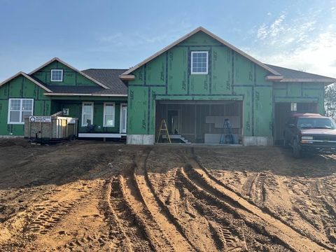 A home in Blair Twp