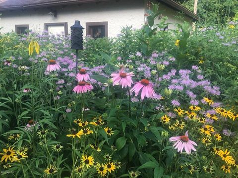 A home in Kalamazoo