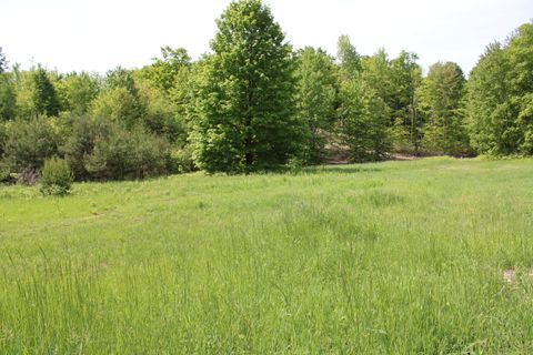 A home in Chestonia Twp