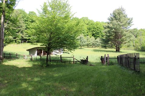 A home in Chestonia Twp