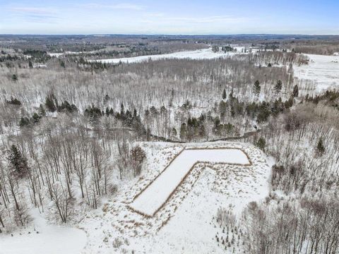 A home in Burdell Twp