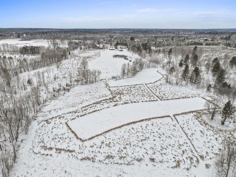 A home in Burdell Twp