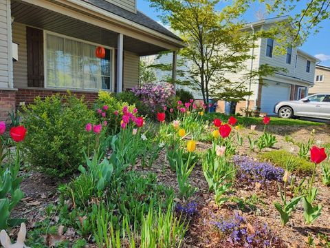 A home in Ann Arbor