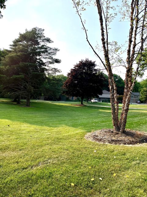 A home in Rochester Hills