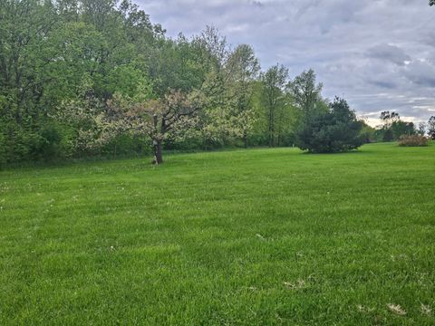 A home in Iosco Twp