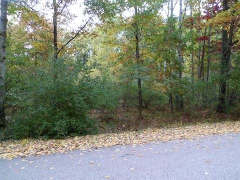 1013 & 1015 Granada Drive Sherman Township MI 48893