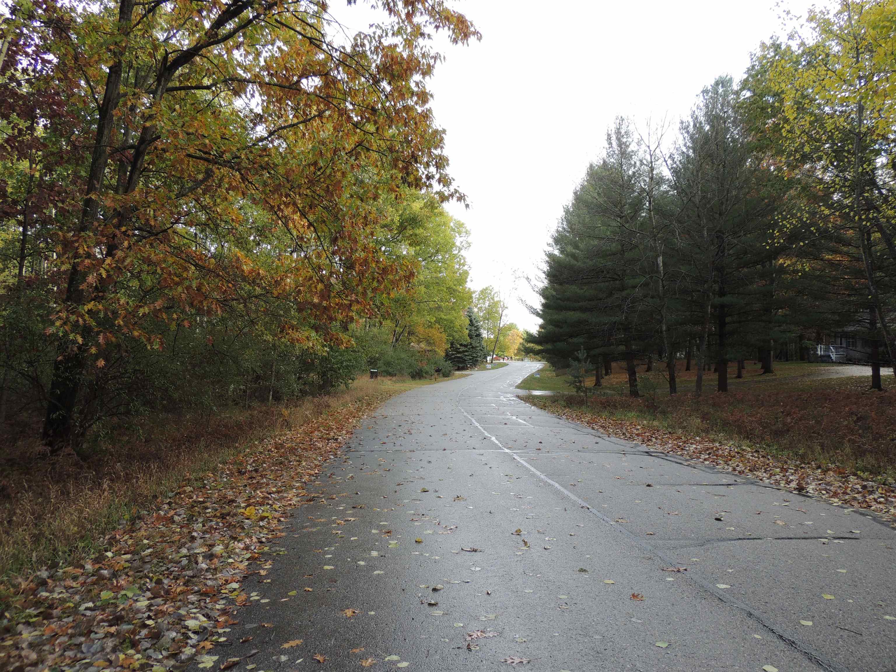 1013 & 1015 Granada Drive