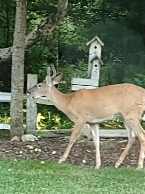 A home in Lexington Twp