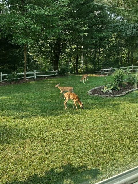 A home in Lexington Twp