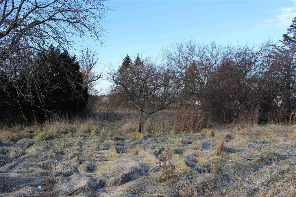 2026 Williamson Road