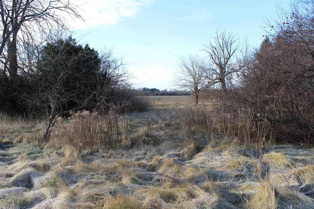 2026 Williamson Road