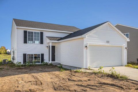 8365 W Sturtevant Avenue Richland Township MI 49083