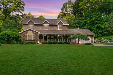 A home in Alamo Twp