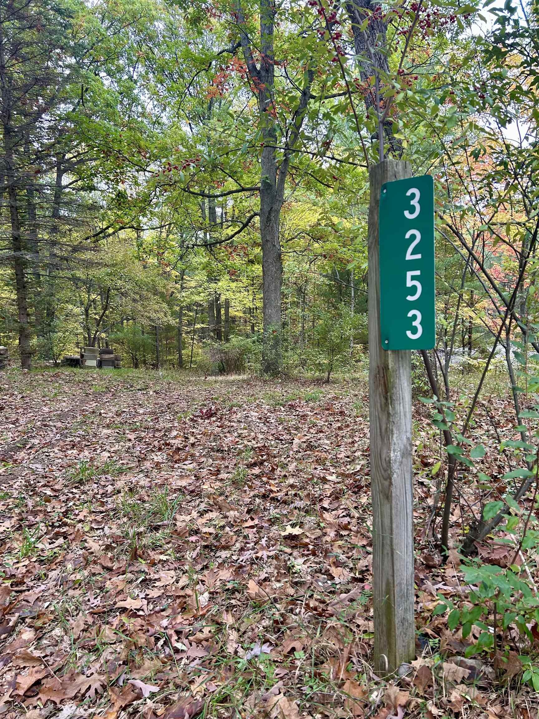 Listing image 7