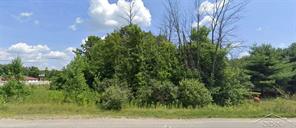 View Greendale Twp, MI 48858 land