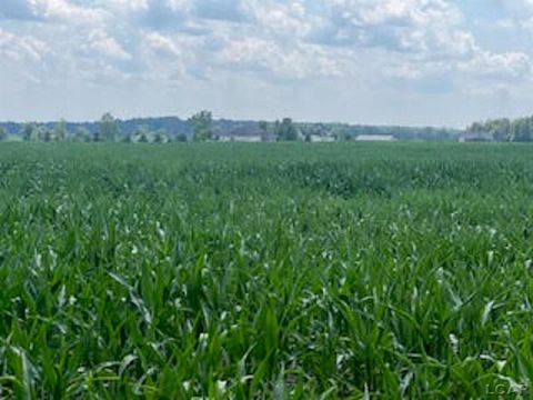 1000 Dinius Road Raisin Township MI 49286