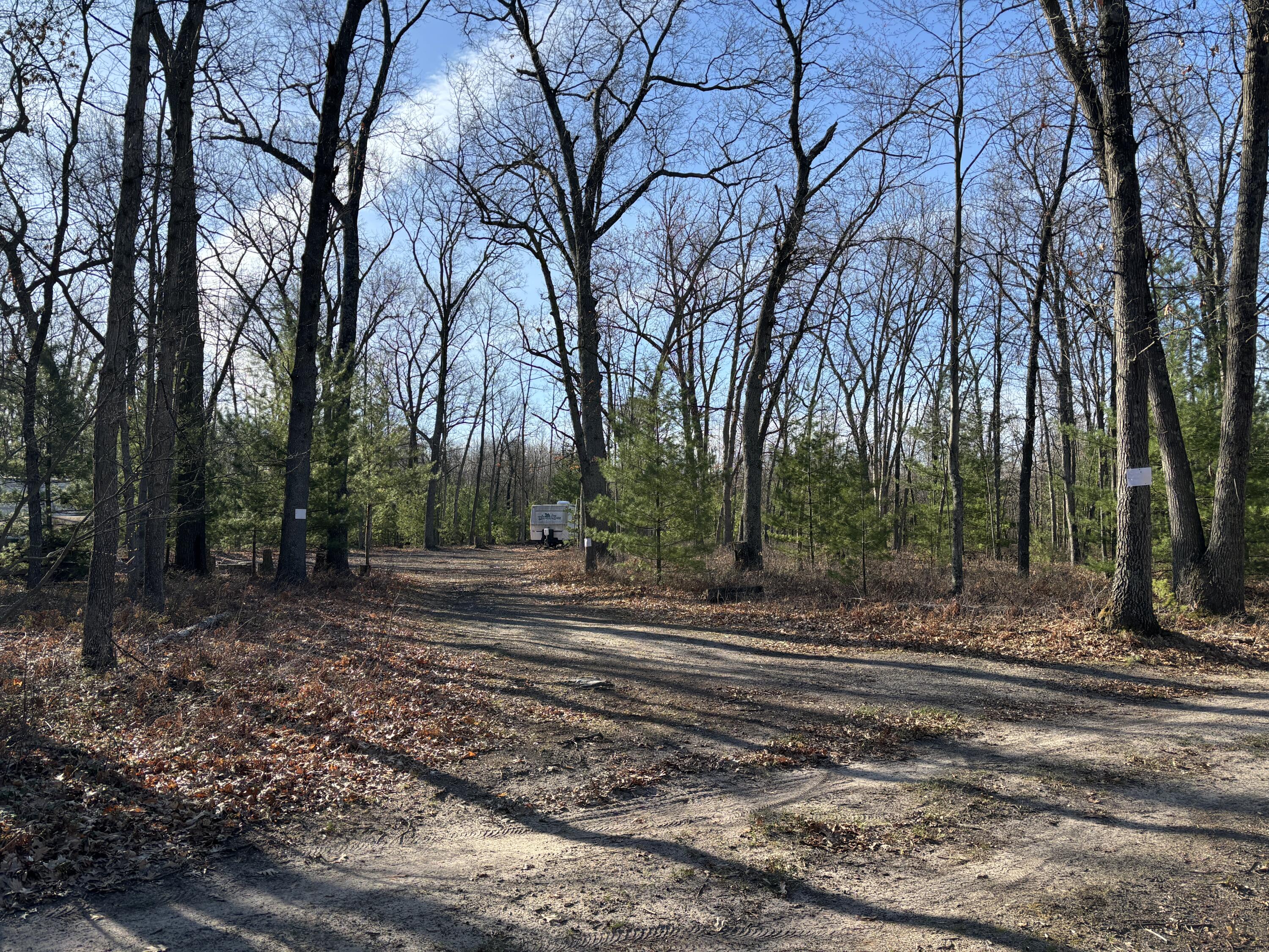 View Freesoil Twp, MI 49411 land
