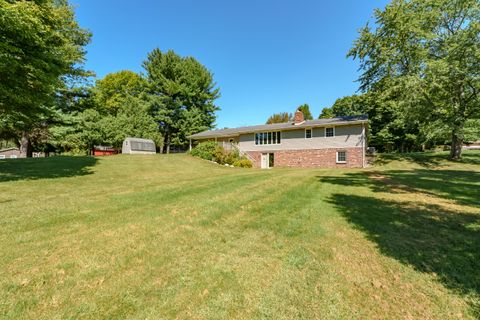 A home in Alamo Twp