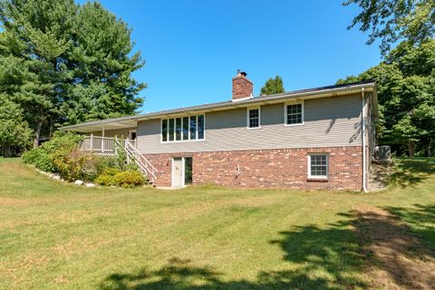 A home in Alamo Twp