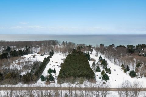 A home in ArcadiaTownship_Manistee
