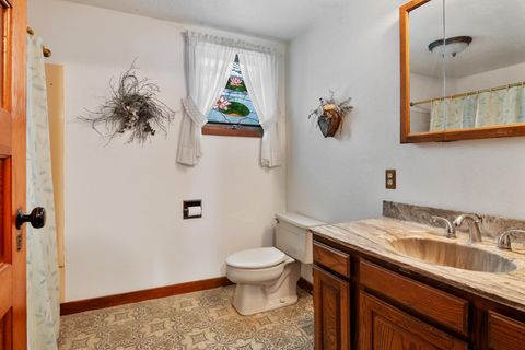 A home in ArcadiaTownship_Manistee