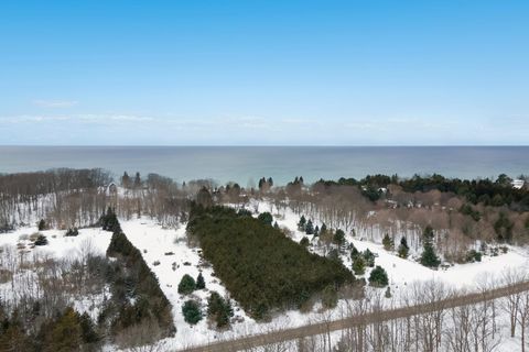 A home in ArcadiaTownship_Manistee