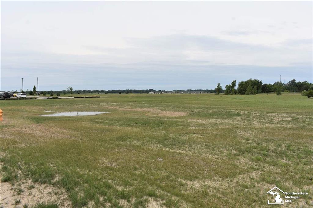 16488 Tecumseh Street