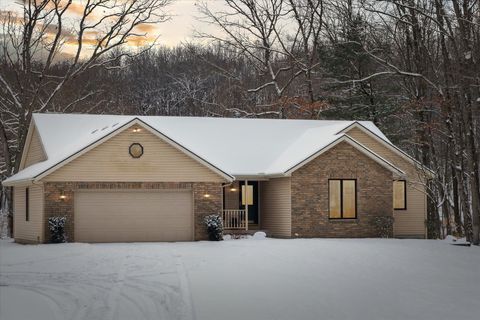 A home in Pierson Twp