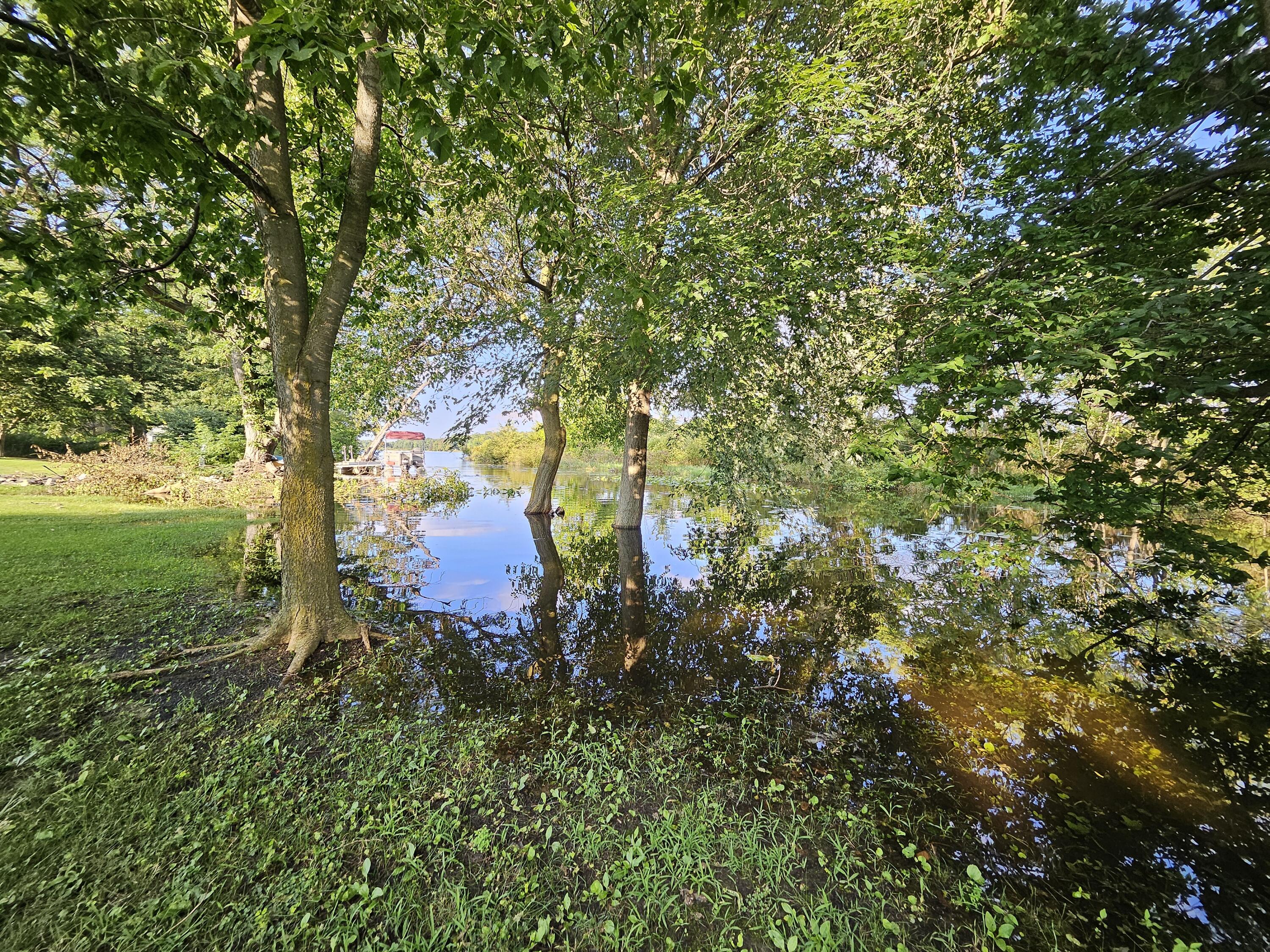 Sherwood, Michigan 49089, United States, ,Land,Active,51747