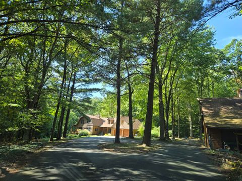 A home in Hamlin Twp