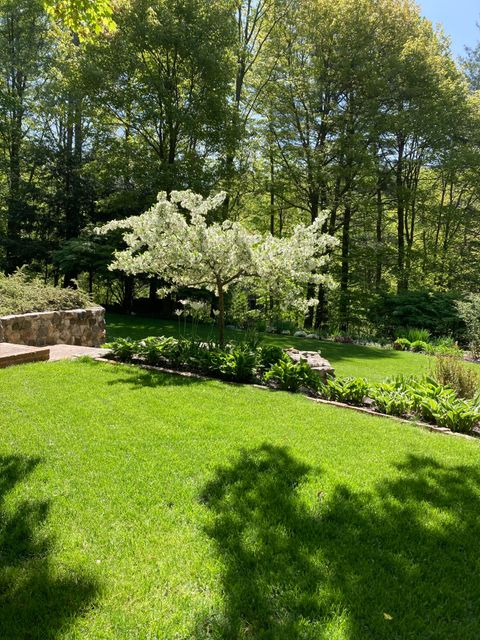 A home in Hamlin Twp