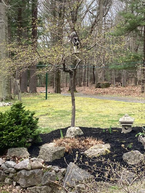 A home in Hamlin Twp