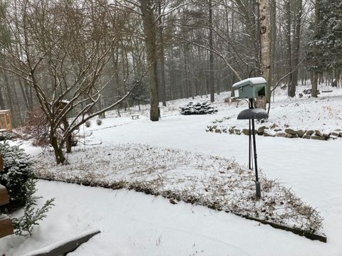 A home in Hamlin Twp