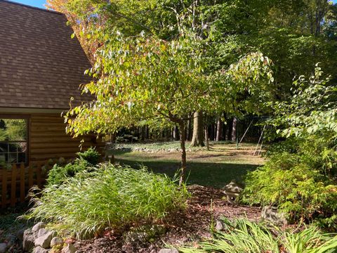 A home in Hamlin Twp