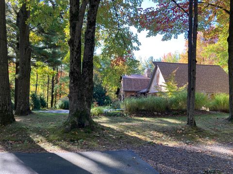 A home in Hamlin Twp