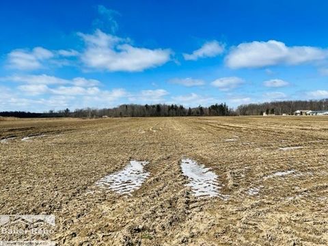 VL North Road Clyde Township MI 48049