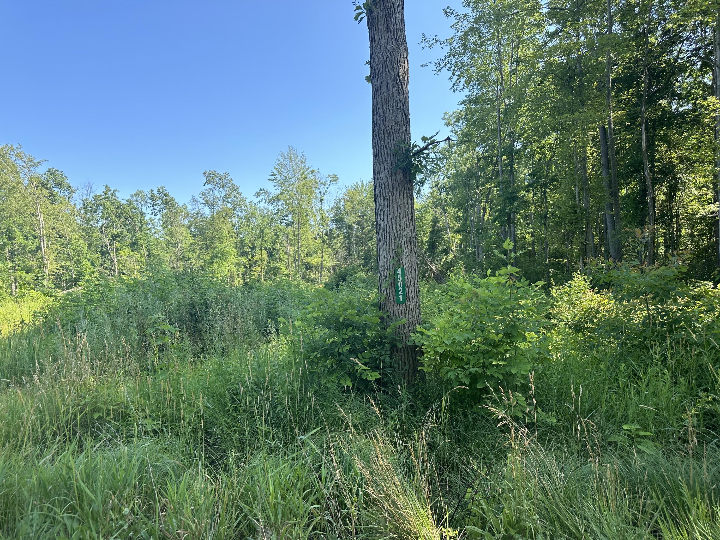 View Sumpter Twp, MI 48111 land