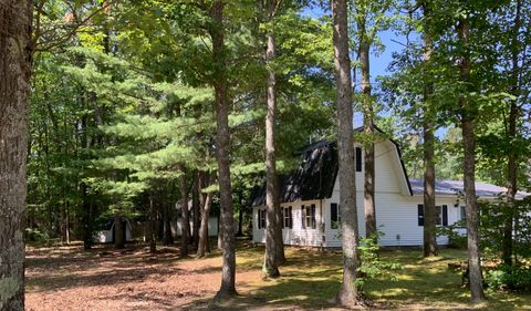 A home in Bear Lake Twp