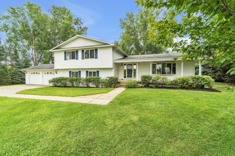 A home in Argentine Twp