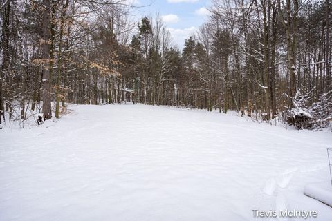 A home in Dorr Twp