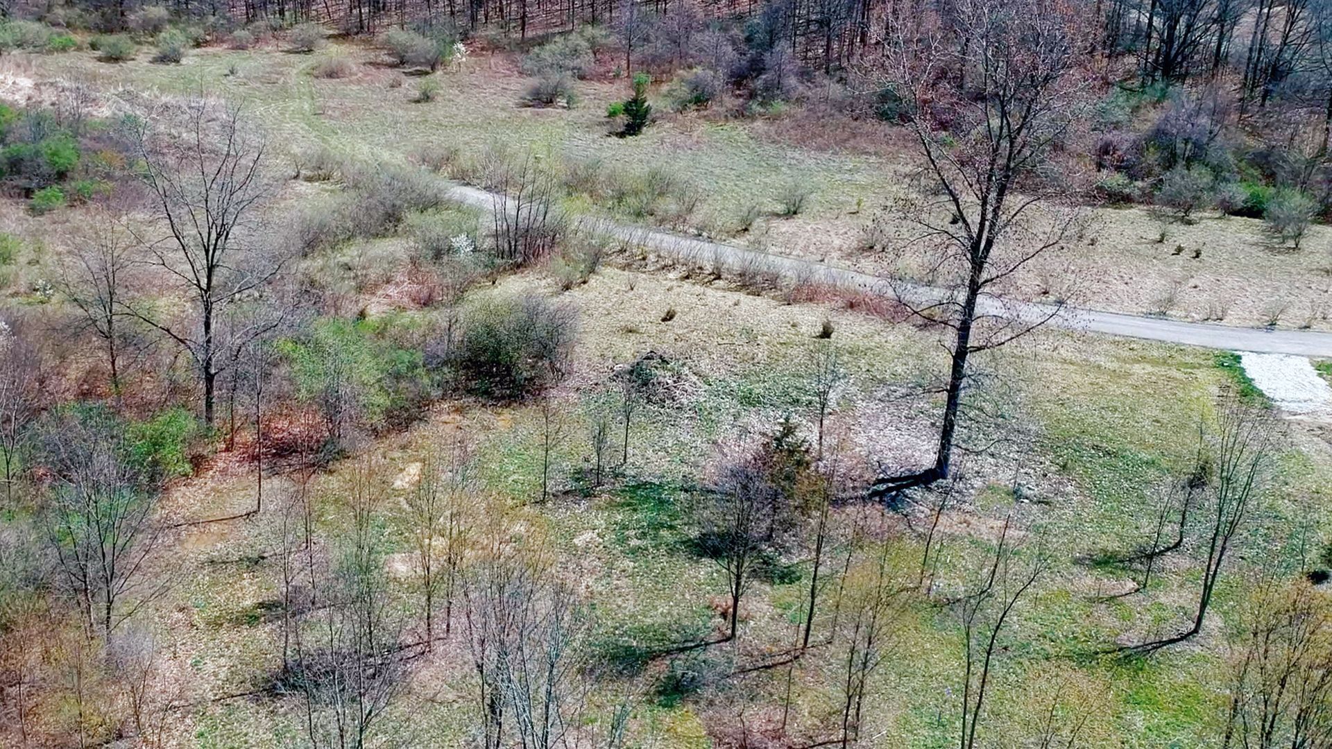 1293 Wind Valley, Lot #5