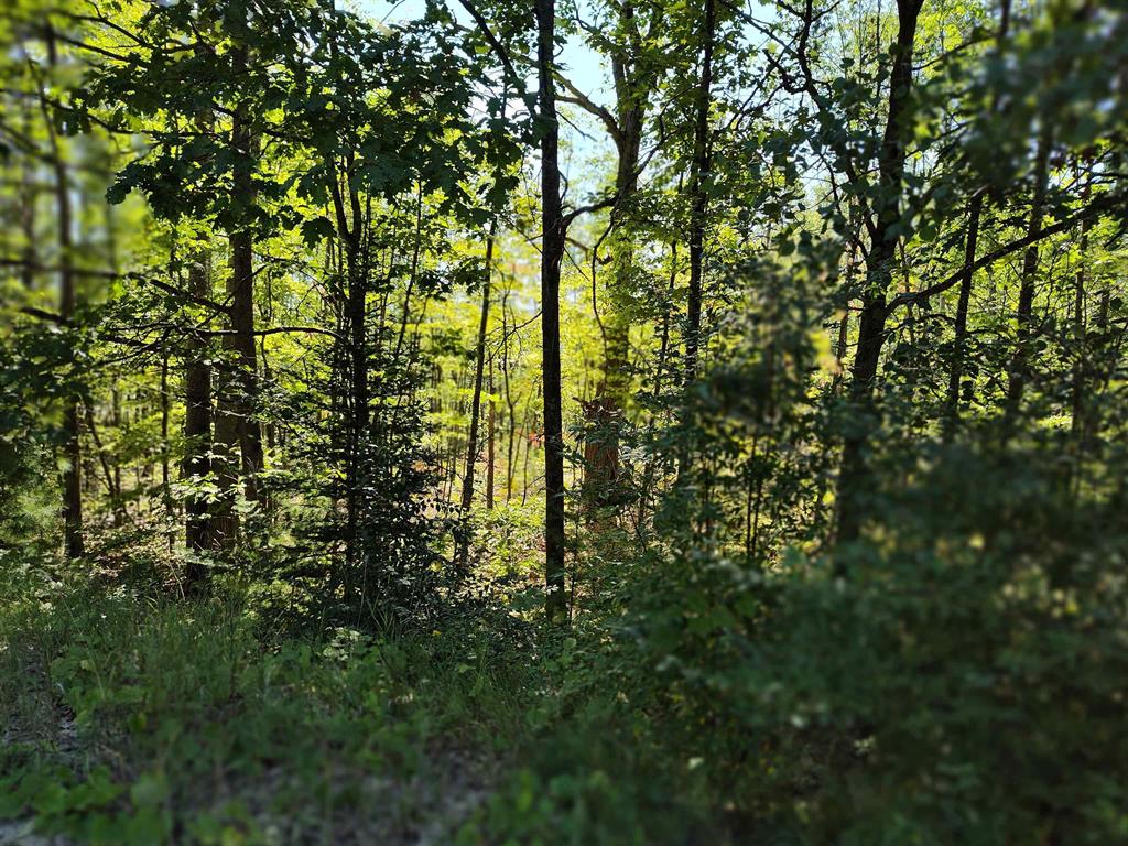Lot 8 N Circle E