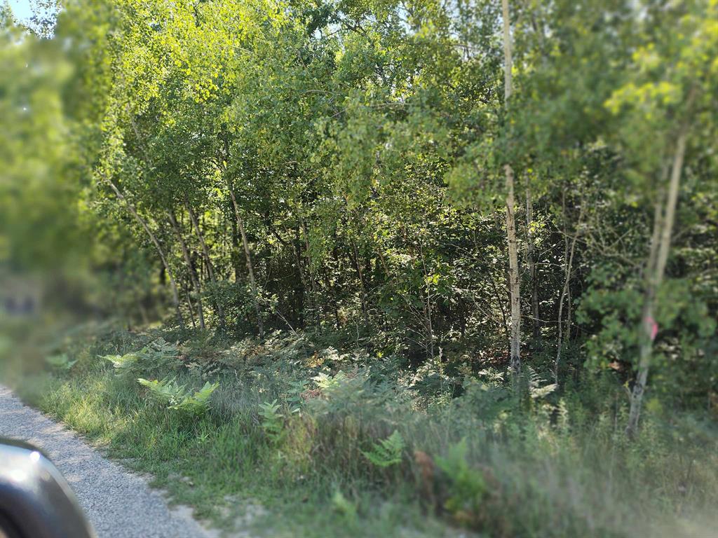 Lot 8 N Circle E