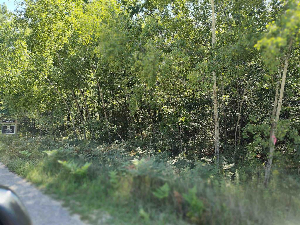 Lot 8 N Circle E