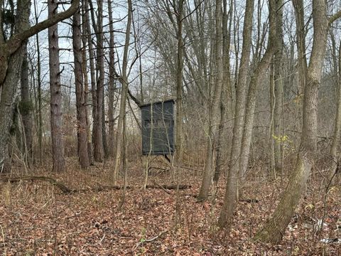 A home in Blendon Twp