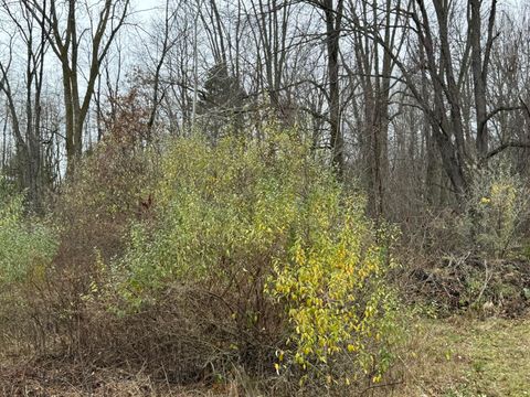 A home in Blendon Twp